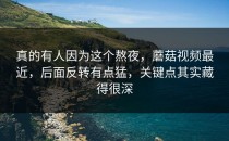 真的有人因为这个熬夜，蘑菇视频最近，后面反转有点猛，关键点其实藏得很深