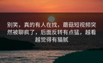 别笑，真的有人在找，蘑菇短视频突然被聊疯了，后面反转有点猛，越看越觉得有猫腻