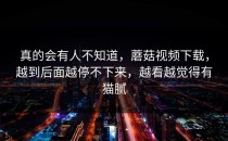 真的会有人不知道，蘑菇视频下载，越到后面越停不下来，越看越觉得有猫腻