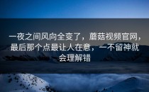 一夜之间风向全变了，蘑菇视频官网，最后那个点最让人在意，一不留神就会理解错