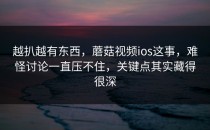 越扒越有东西，蘑菇视频ios这事，难怪讨论一直压不住，关键点其实藏得很深