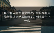 真的有人因为这个熬夜，蘑菇视频电脑版最近突然被聊疯了，到底发生了什么