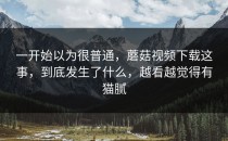 一开始以为很普通，蘑菇视频下载这事，到底发生了什么，越看越觉得有猫腻