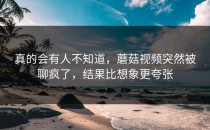 真的会有人不知道，蘑菇视频突然被聊疯了，结果比想象更夸张