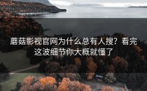蘑菇影视官网为什么总有人搜？看完这波细节你大概就懂了