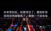 本来想划走，结果停住了，蘑菇影视官网突然被聊疯了，事情一下就有味道了
