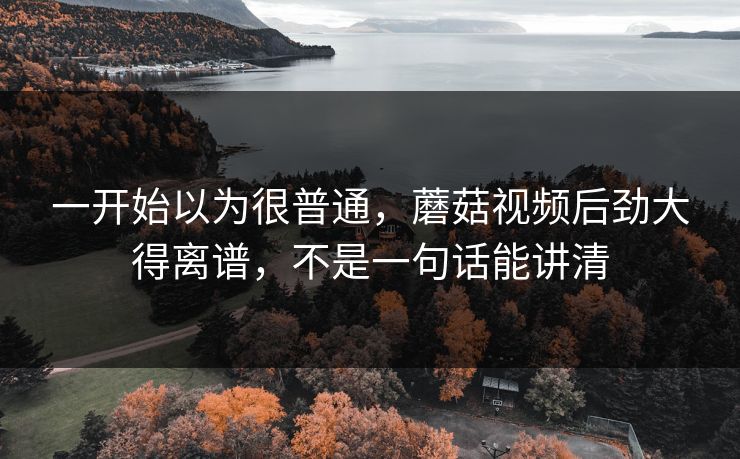 一开始以为很普通，蘑菇视频后劲大得离谱，不是一句话能讲清  第1张