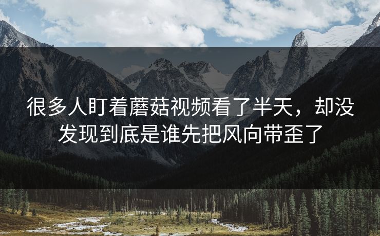 很多人盯着蘑菇视频看了半天，却没发现到底是谁先把风向带歪了  第1张