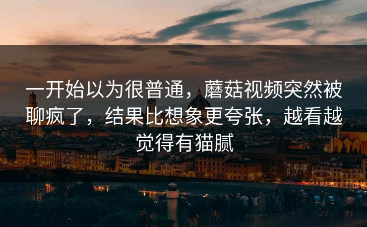 一开始以为很普通，蘑菇视频突然被聊疯了，结果比想象更夸张，越看越觉得有猫腻
