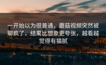一开始以为很普通，蘑菇视频突然被聊疯了，结果比想象更夸张，越看越觉得有猫腻