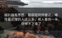 越扒越有东西，蘑菇短视频最近，难怪最近搜的人这么多，有人看到一半就停不下来了
