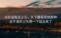 说实话有点上头，关于蘑菇视频那种说不清的上头感一下就出来了