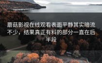蘑菇影视在线观看表面平静其实暗流不少，结果真正有料的部分一直在后半段