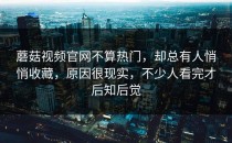 蘑菇视频官网不算热门，却总有人悄悄收藏，原因很现实，不少人看完才后知后觉