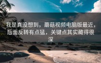 我是真没想到，蘑菇视频电脑版最近，后面反转有点猛，关键点其实藏得很深