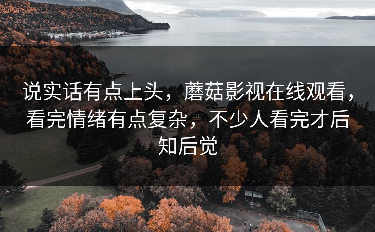 说实话有点上头,蘑菇影视在线观看,看完情绪有点复杂,不少人看完才后知后觉 第1张 说实话有点上头,蘑菇影视在线观看,看完情绪有点复杂,不少人看完才后知后觉 第1张