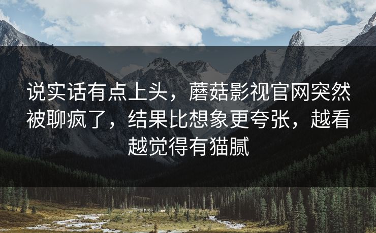 说实话有点上头，蘑菇影视官网突然被聊疯了，结果比想象更夸张，越看越觉得有猫腻  第1张